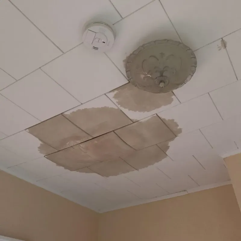 Ceiling Water Damage Repair in Rochester, NH