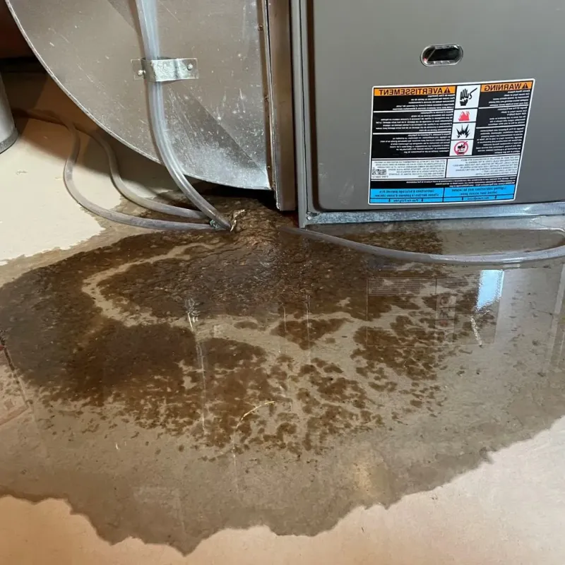 Pipe Burst and Leak Restoration in Rochester, NH